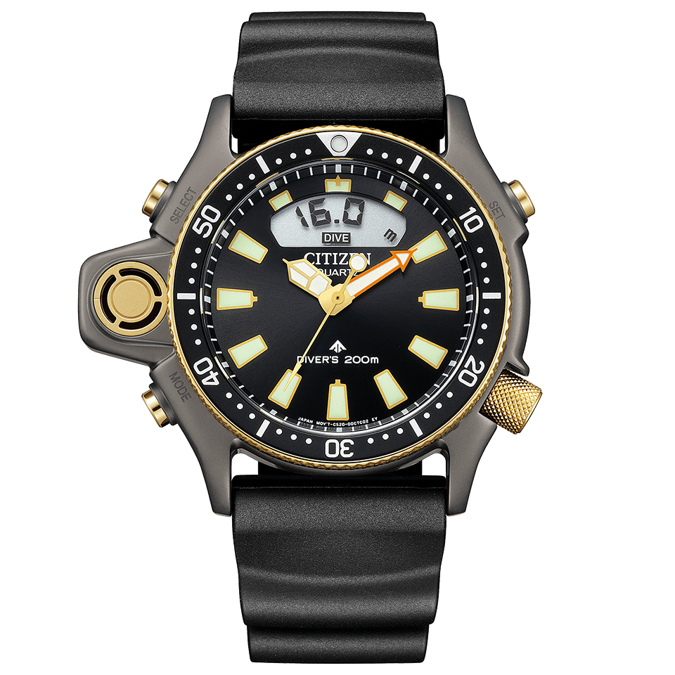 CITIZEN MARINE 40週年紀念限定版 手錶 JP2008-06E JDM日版