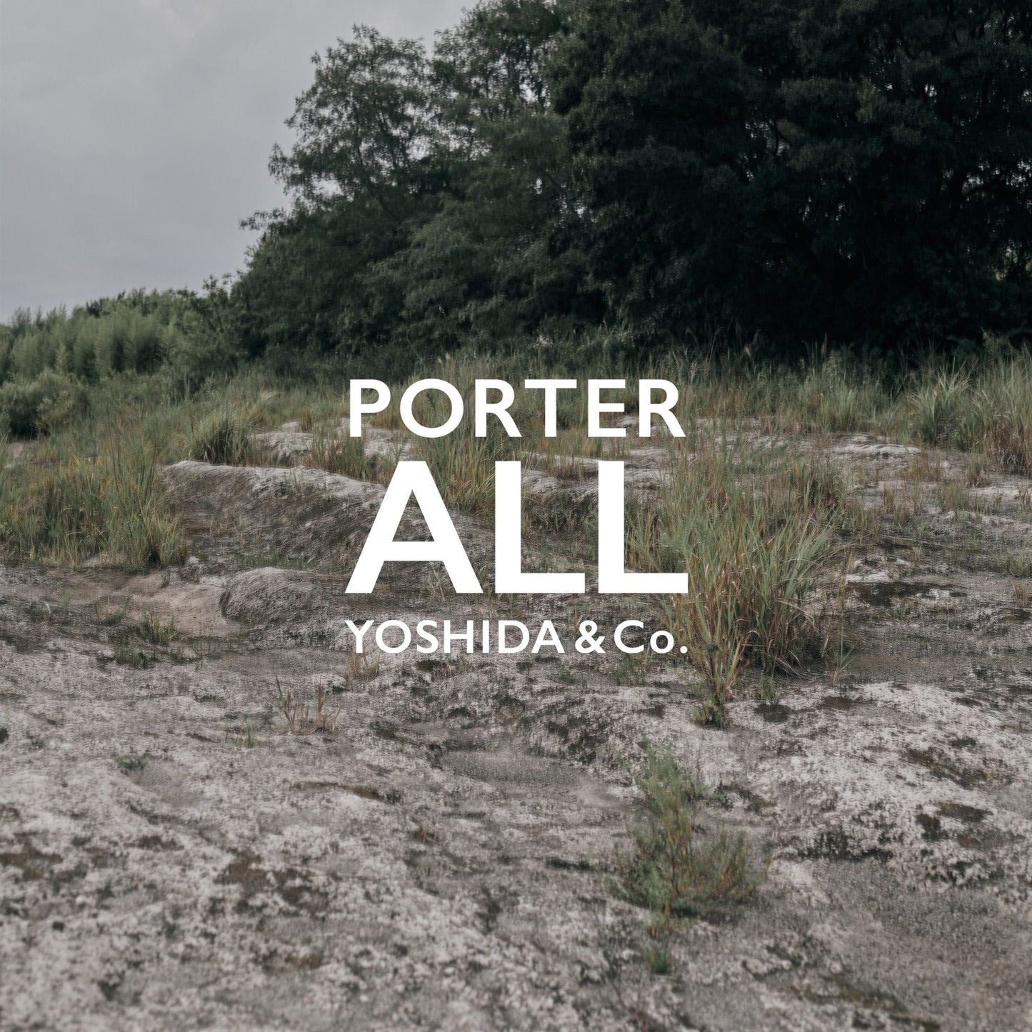 PORTER ALL DAYPACK with POUCHES made in Japan 502-05958