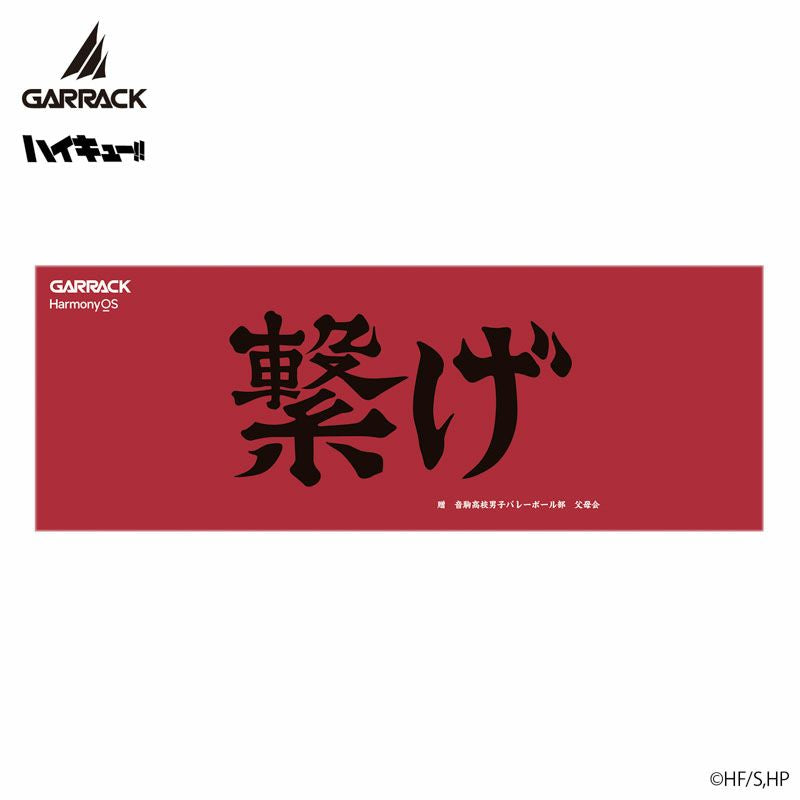 GARRACK 排球少年 音駒高校特別版 限量手錶 HUC-HK-BD10-N JDM日版