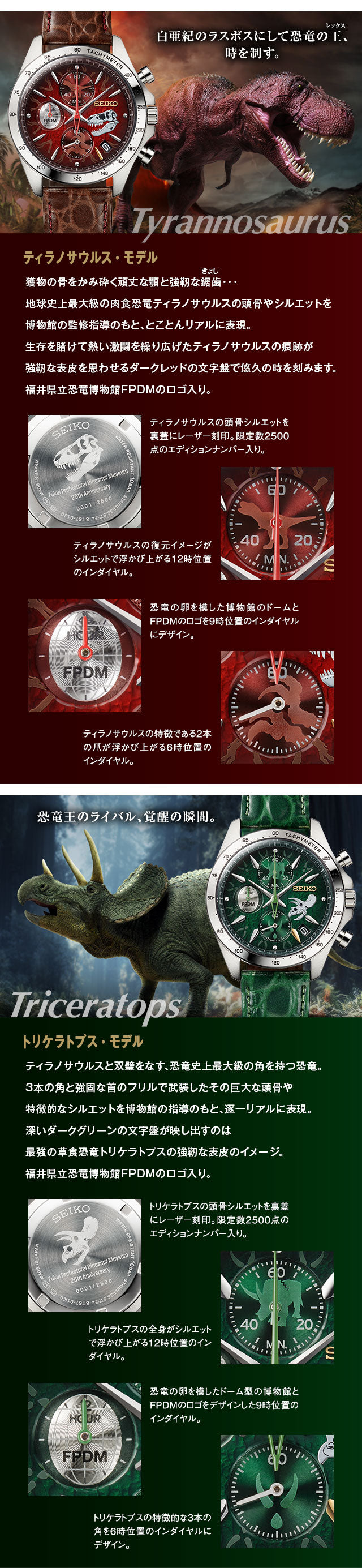 SEIKO 福井県立恐竜博物館 恐龍特別版 精工日本製限定版 手錶 JDM日版