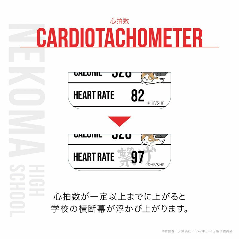 GARRACK 排球少年 音駒高校特別版 限量手錶 HUC-HK-BD10-N JDM日版