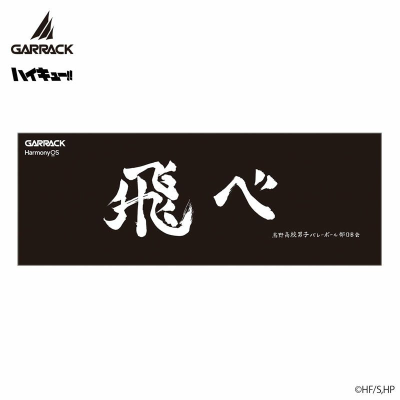 GARRACK 排球少年 烏野高校 特別版 限定手錶 HUC-HK-BD10-K JDM日版